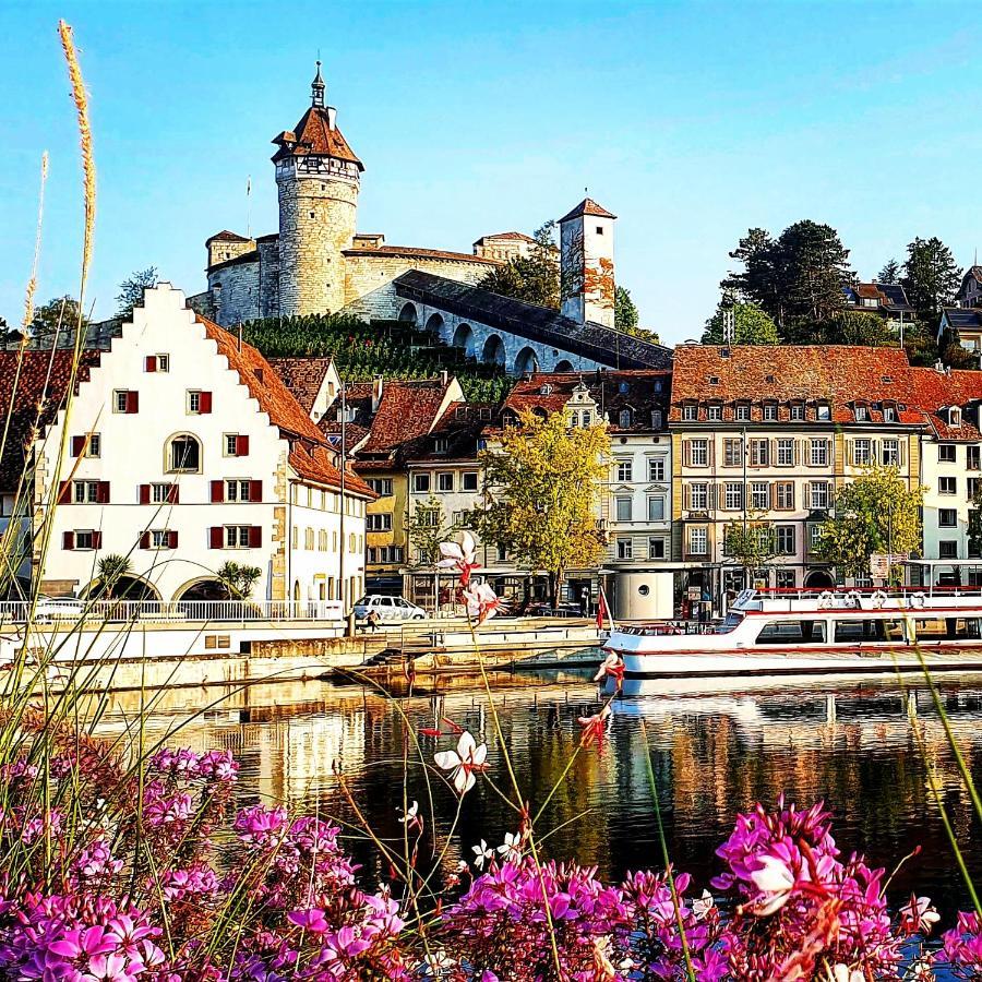 Apartment Suedwind - Beautiful Premium Apartment With 2 Bedrooms Near Rhine Falls & Zurich Airport In Klettgau Weisweil  Eksteriør bilde