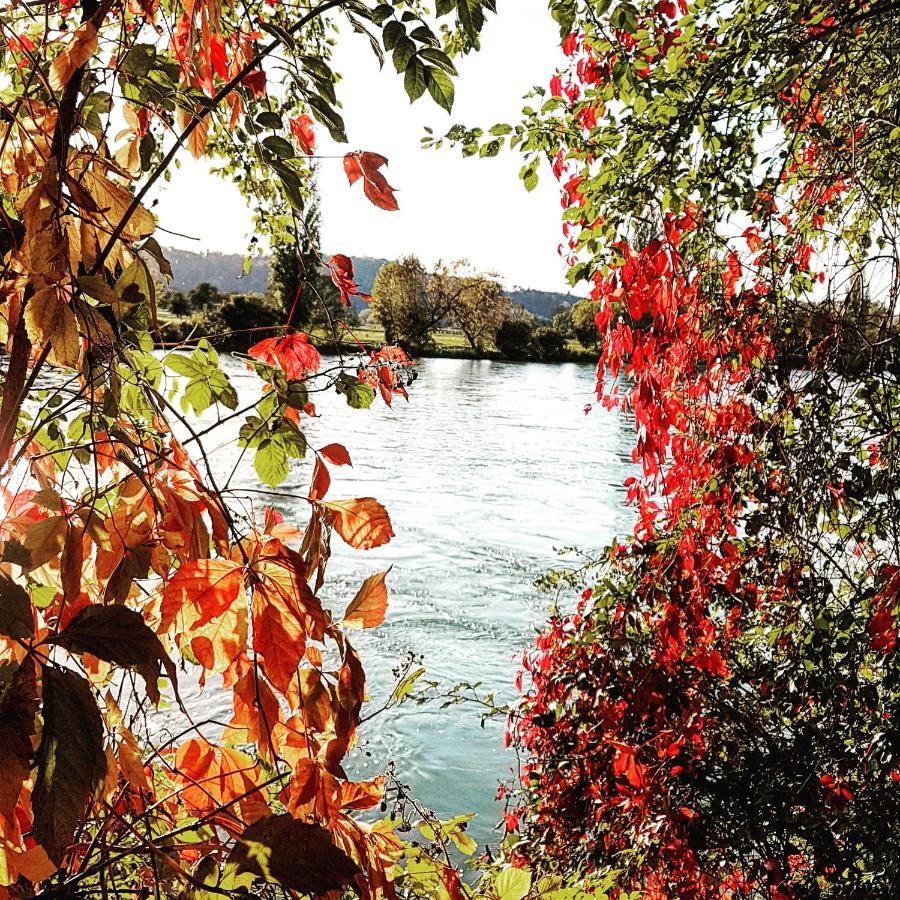 Apartment Suedwind - Beautiful Premium Apartment With 2 Bedrooms Near Rhine Falls & Zurich Airport In Klettgau Weisweil  Eksteriør bilde